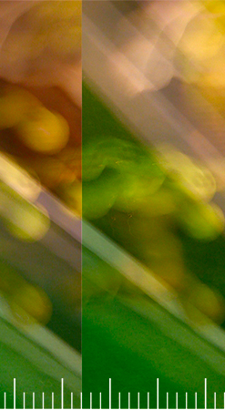 frame02