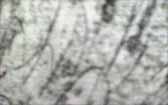 129