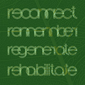 reconnect